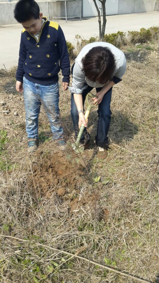 植树节采草莓植树活动