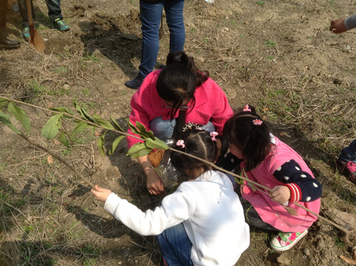 植树节采草莓植树活动