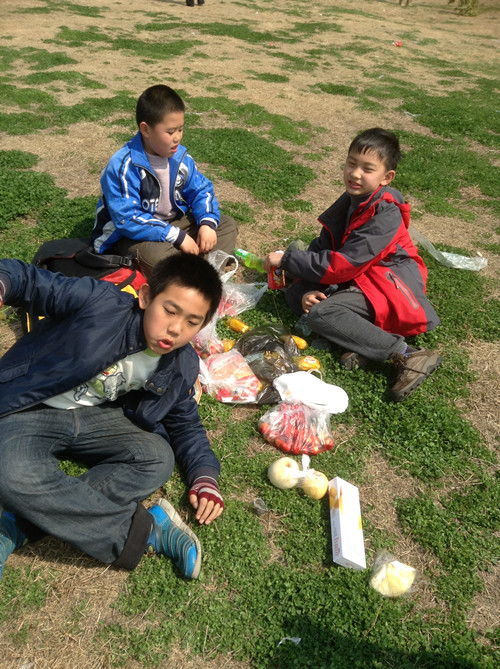 植树节采草莓植树活动