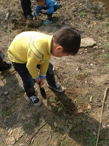 植树节采草莓植树活动