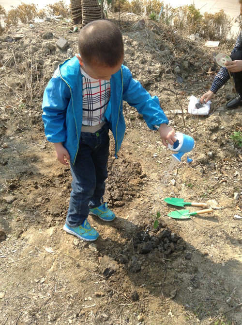 植树节采草莓植树活动