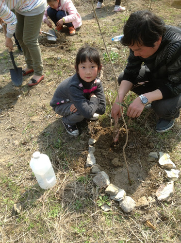 植树节采草莓植树活动