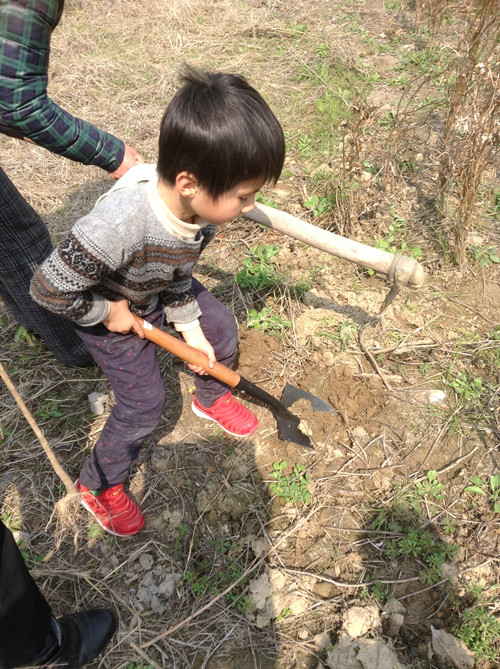 植树节采草莓植树活动