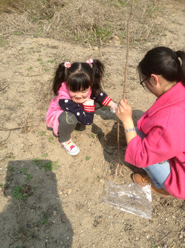 植树节采草莓植树活动