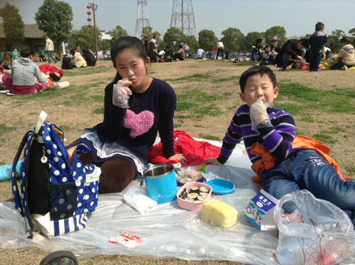 植树节采草莓植树活动