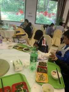 移动课堂—树的秘密语言 Secrets of the trees