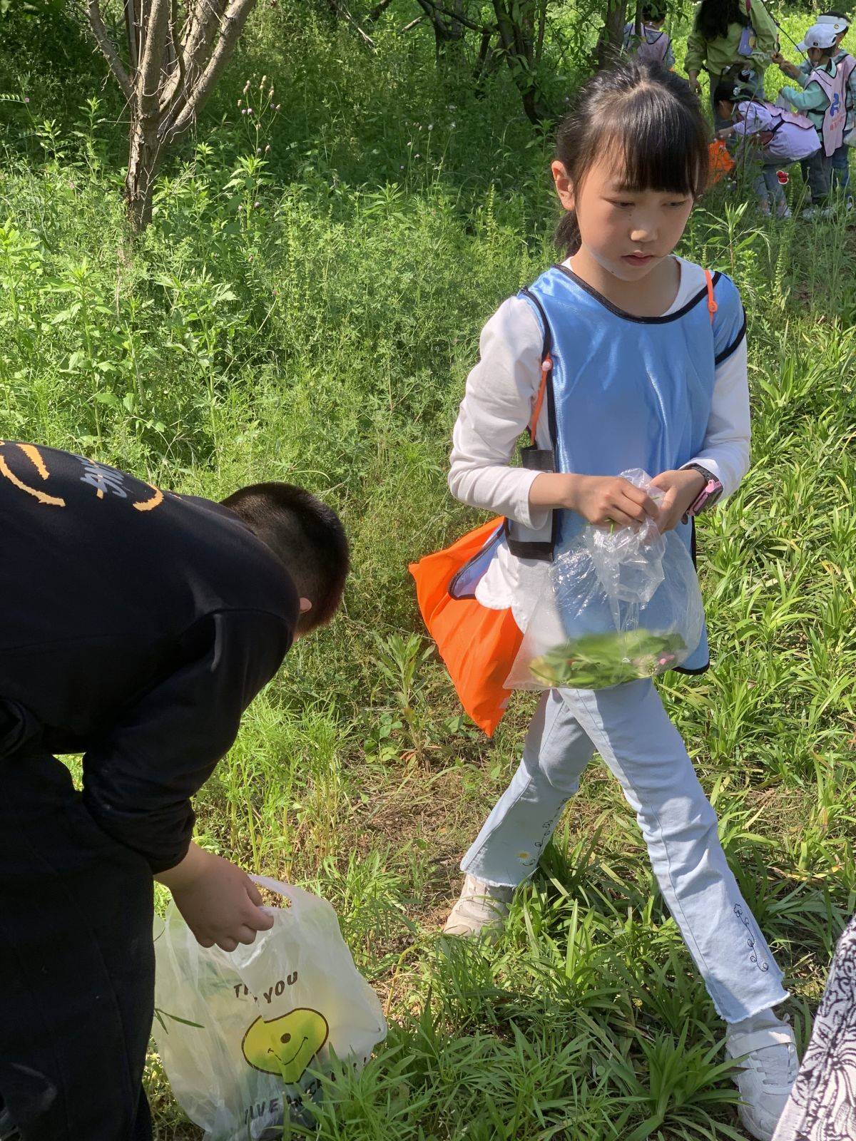 移动课堂—树的秘密语言 Secrets of the trees
