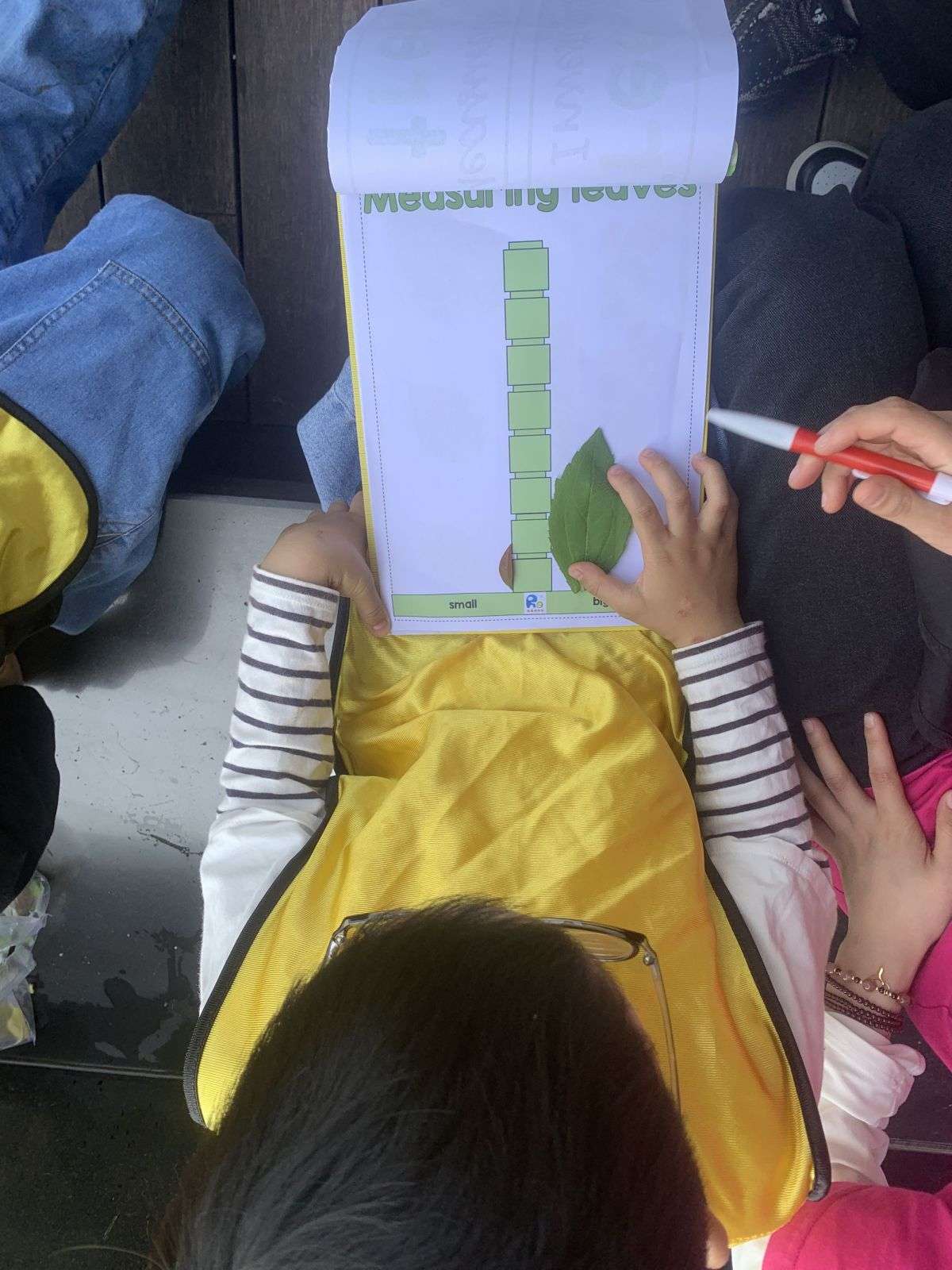 移动课堂—树的秘密语言 Secrets of the trees