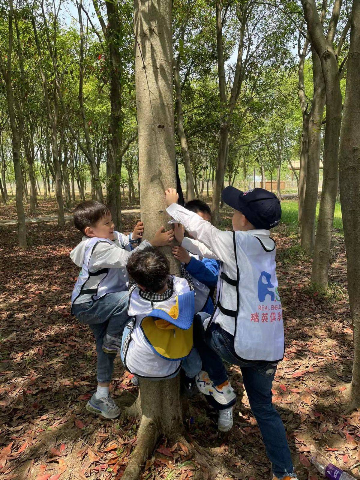 移动课堂—树的秘密语言 Secrets of the trees