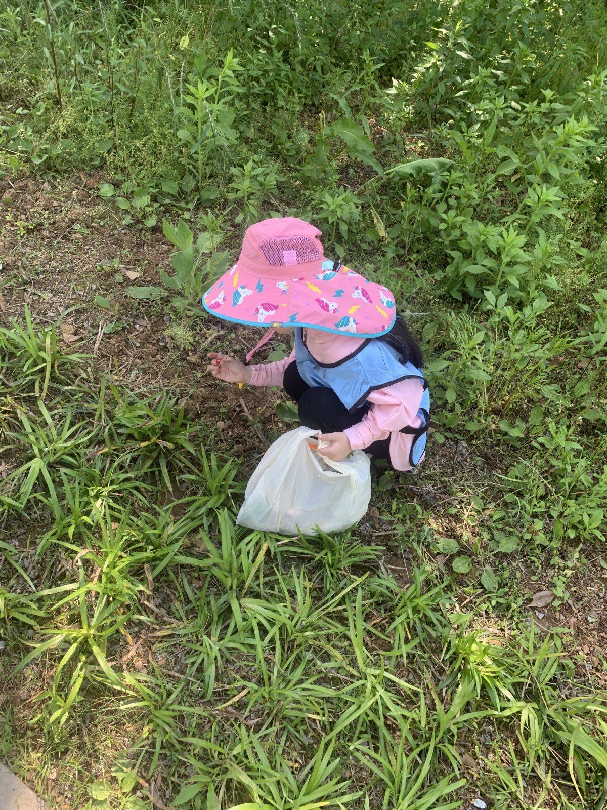 移动课堂—树的秘密语言 Secrets of the trees