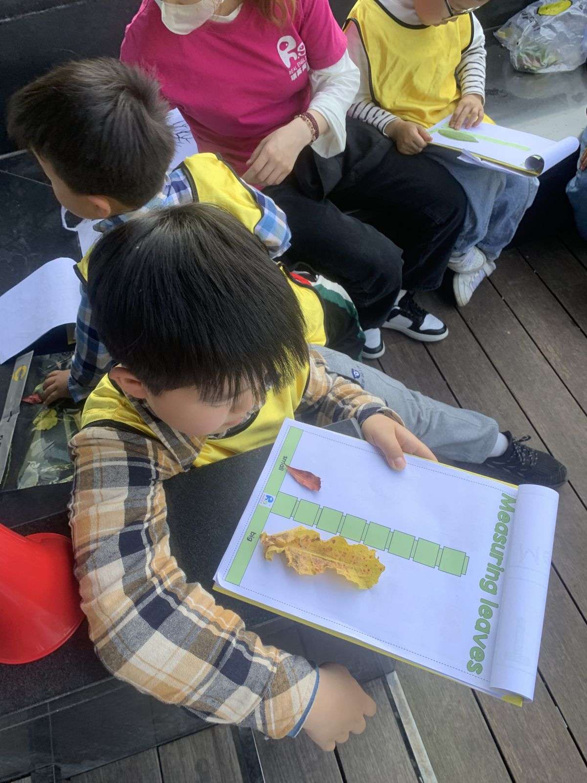 移动课堂—树的秘密语言 Secrets of the trees