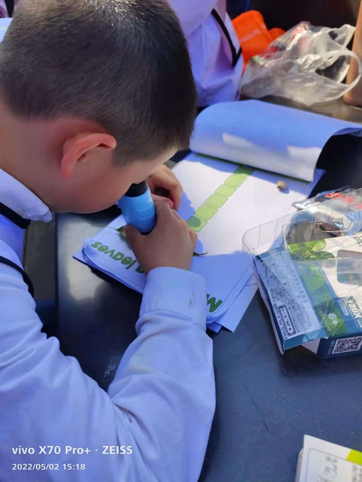 移动课堂—树的秘密语言 Secrets of the trees