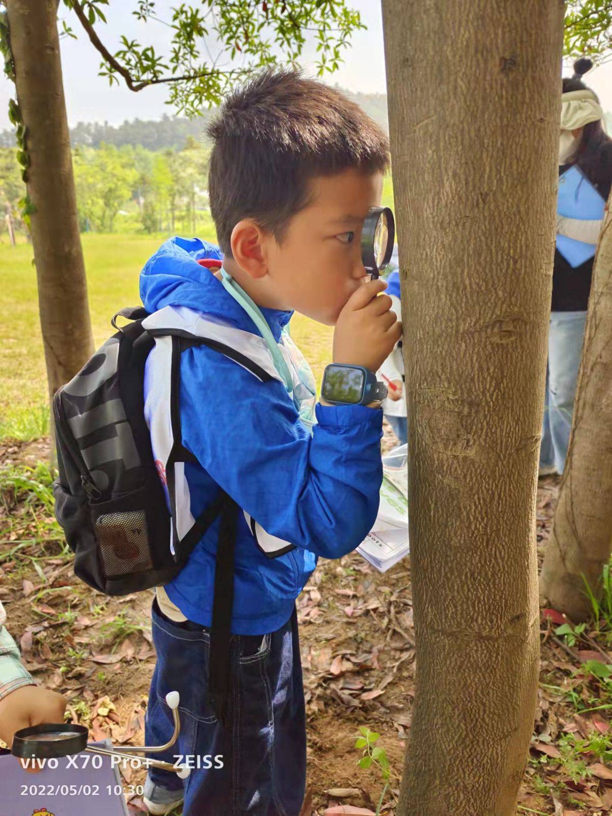 移动课堂—树的秘密语言 Secrets of the trees