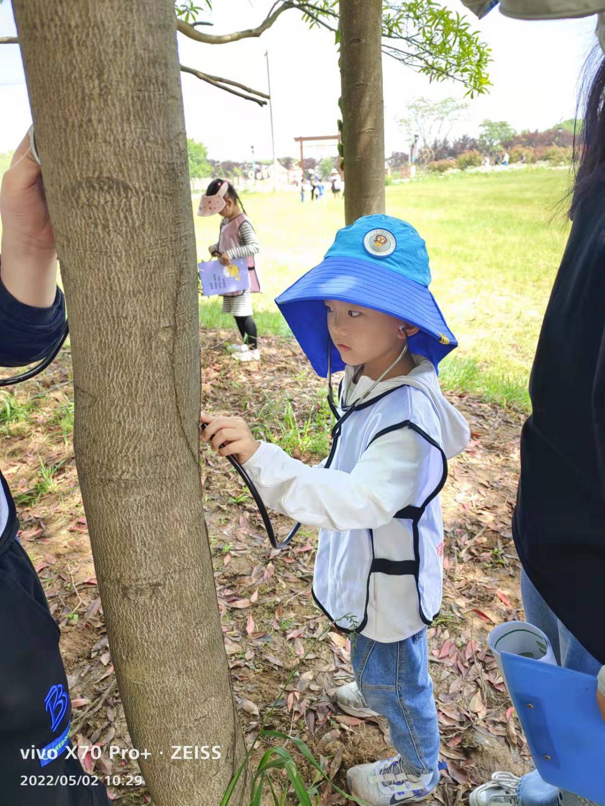 移动课堂—树的秘密语言 Secrets of the trees