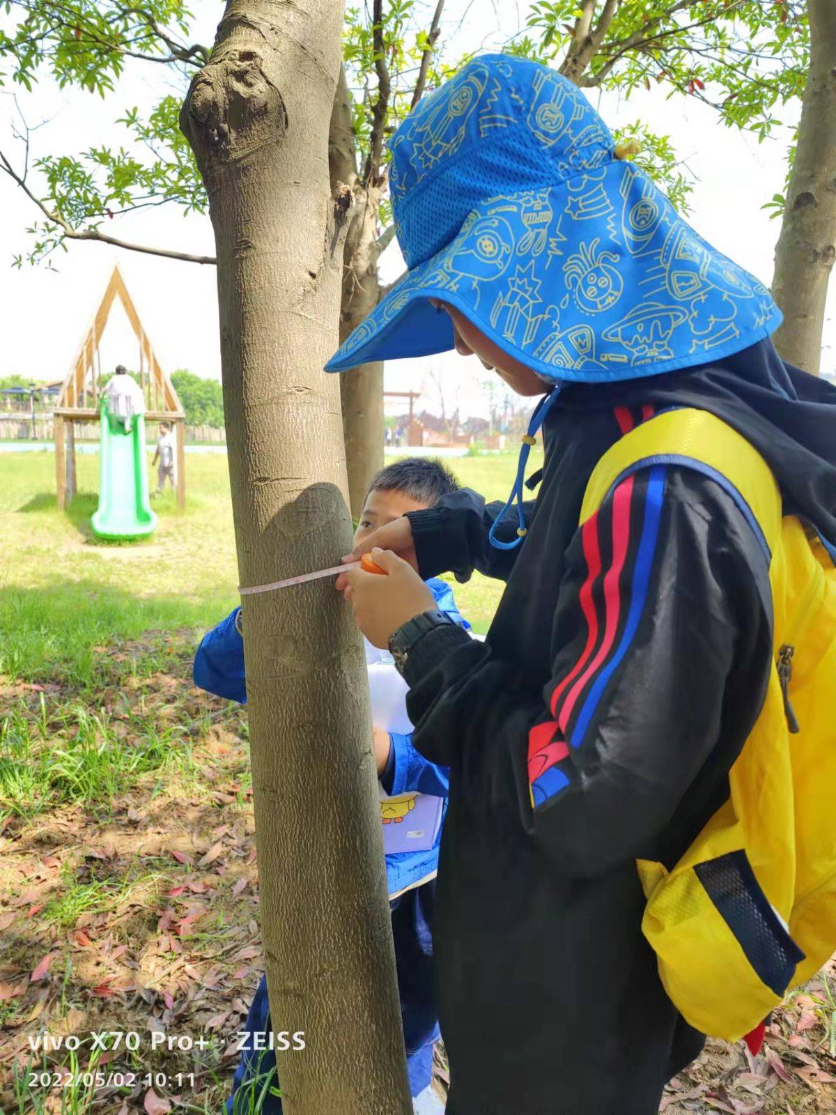 移动课堂—树的秘密语言 Secrets of the trees