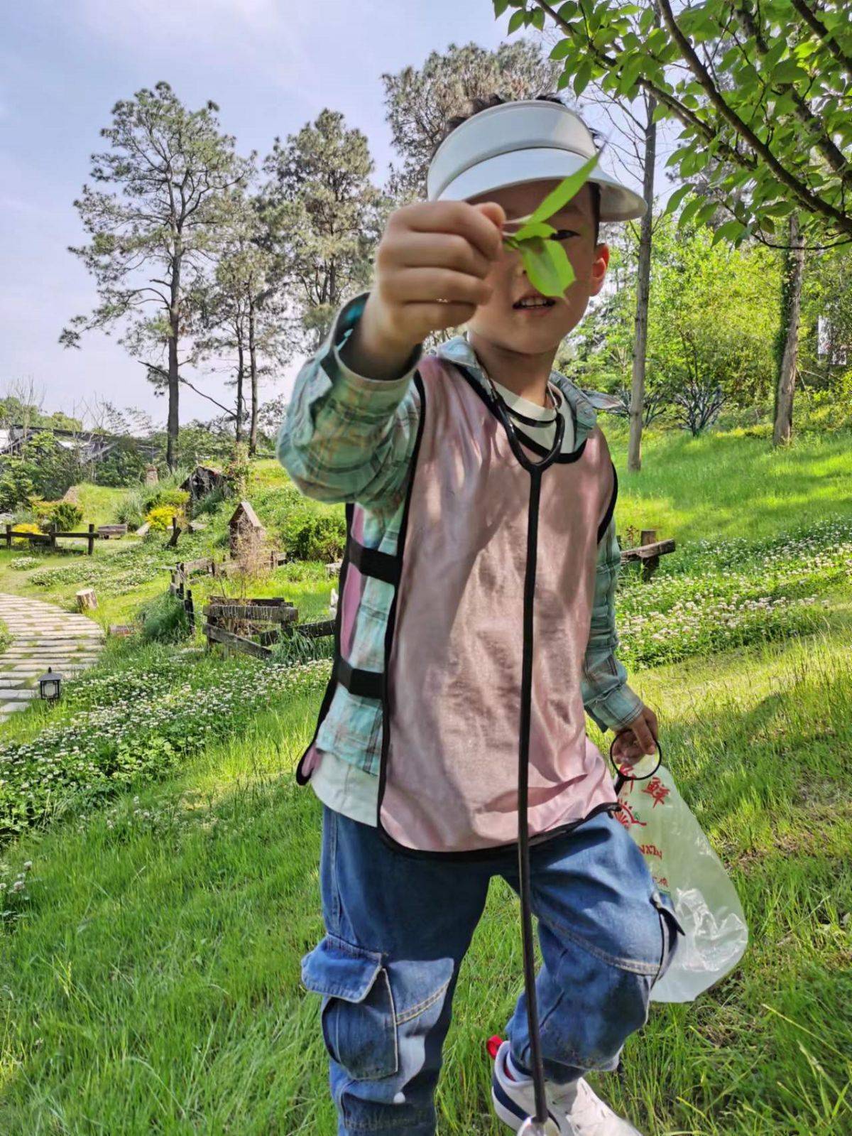 移动课堂—树的秘密语言 Secrets of the trees