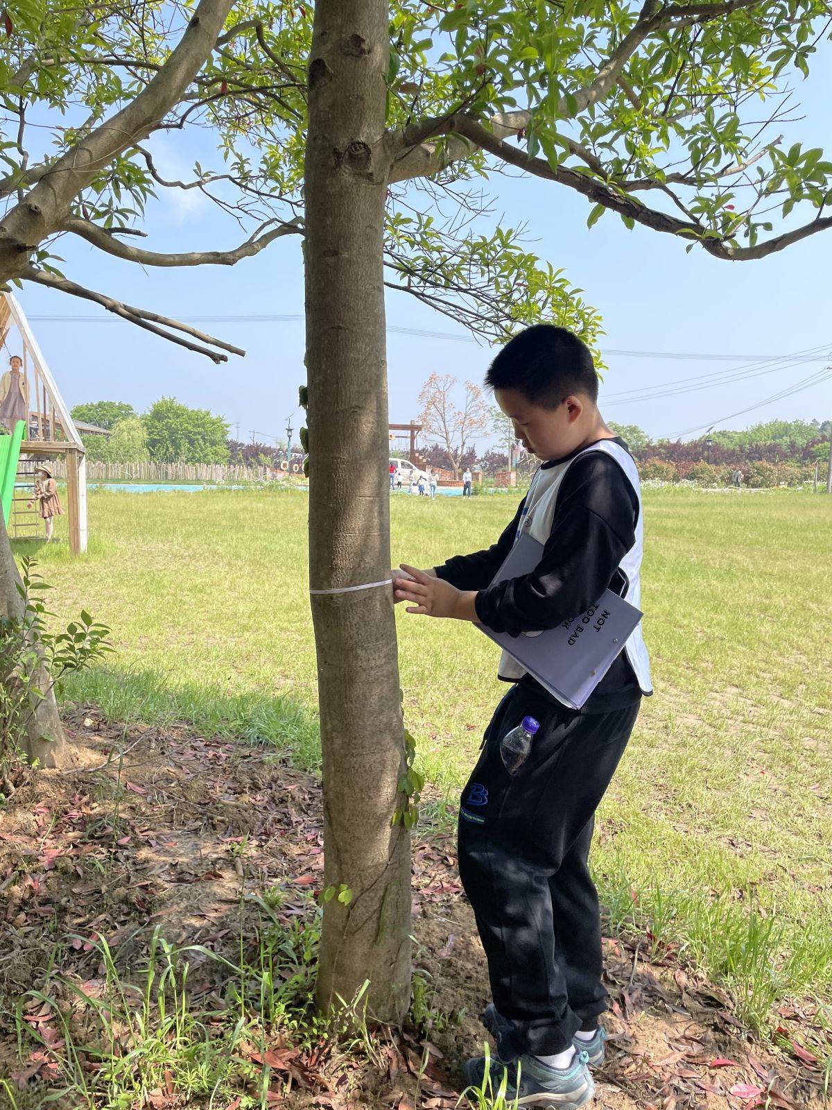 移动课堂—树的秘密语言 Secrets of the trees