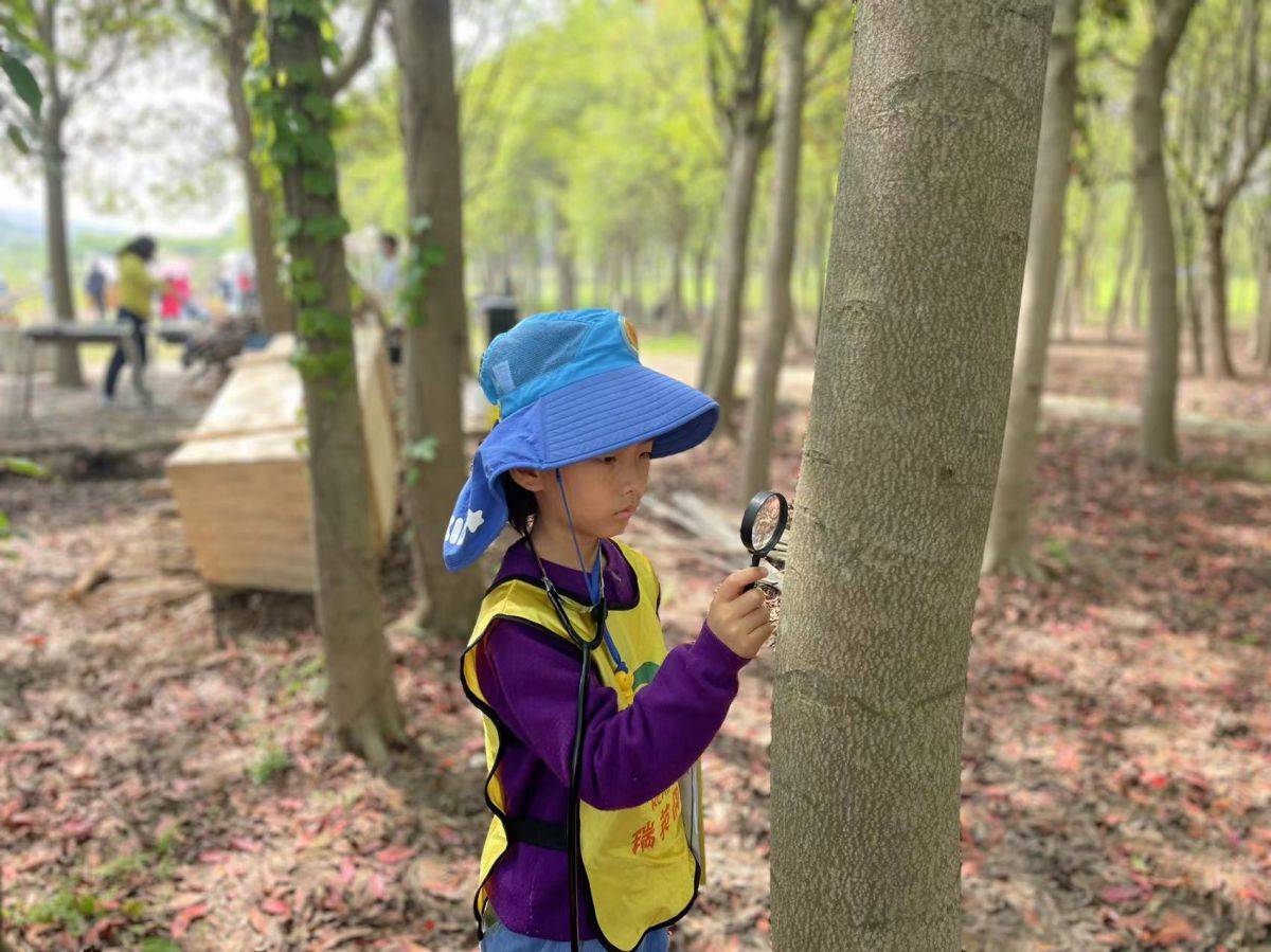 移动课堂—树的秘密语言 Secrets of the trees