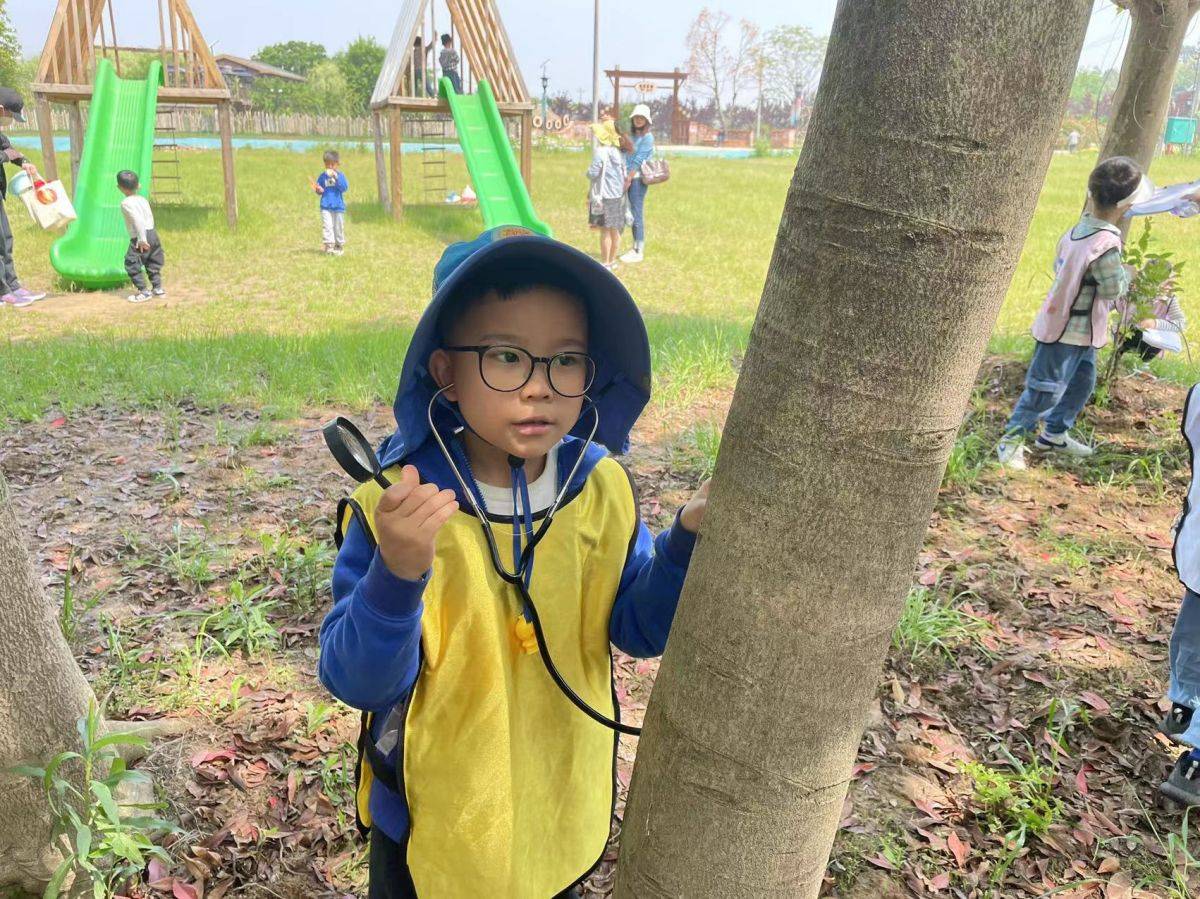 移动课堂—树的秘密语言 Secrets of the trees