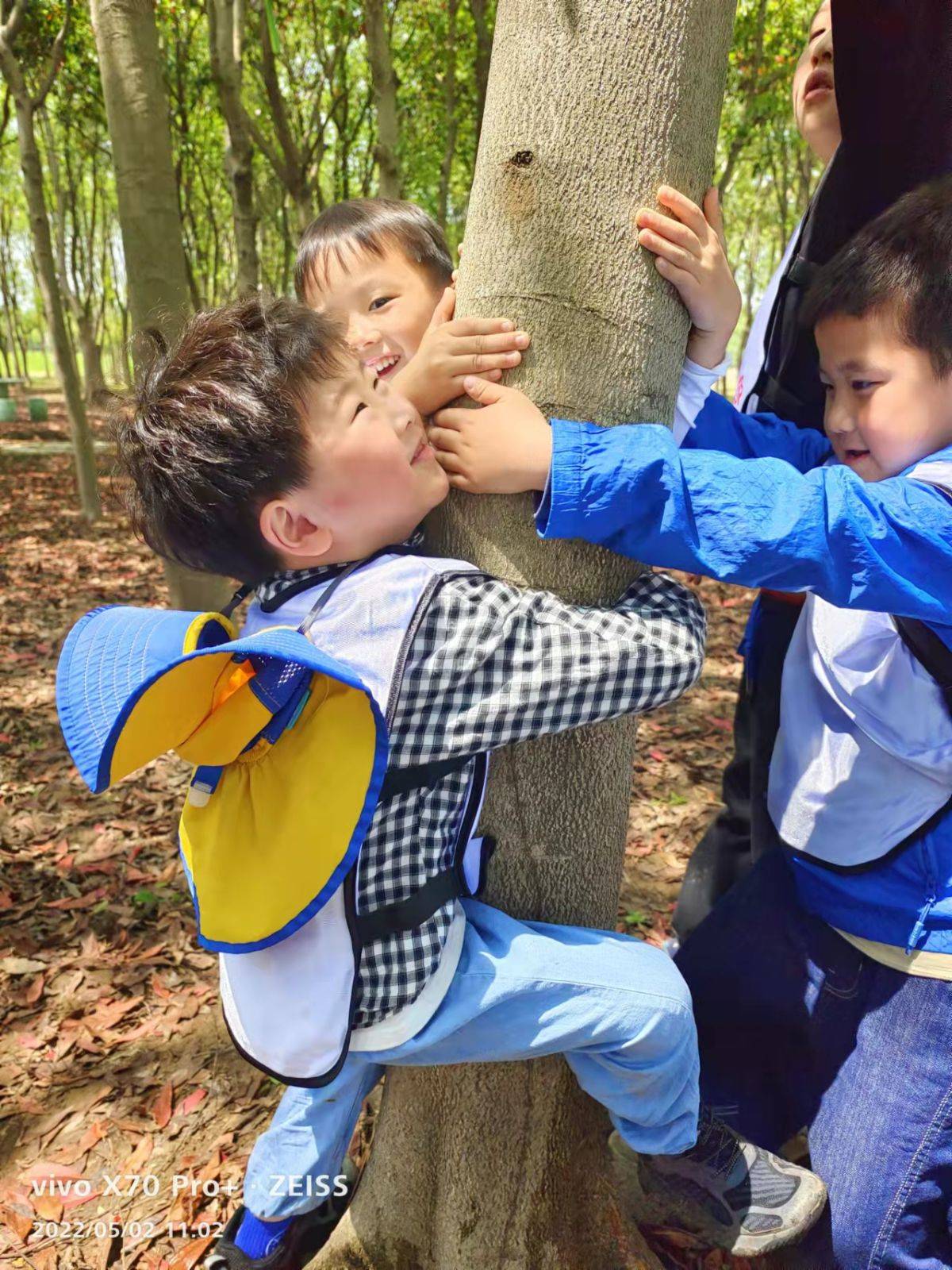 移动课堂—树的秘密语言 Secrets of the trees