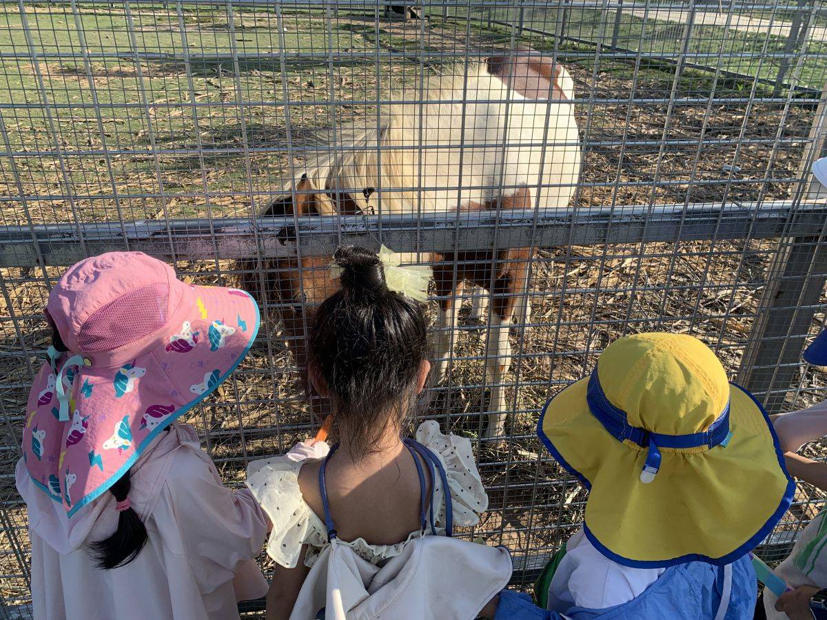 露营 Camping excursion